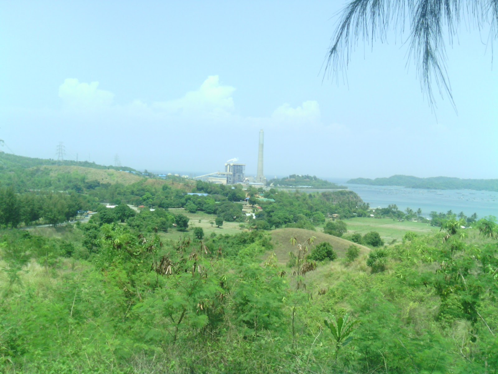 Pasig Best Properties Farm Lots For Sale Sual Pangasinan