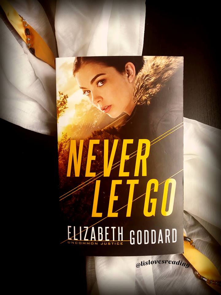 Romantic Suspense Book Review: Never Let Go