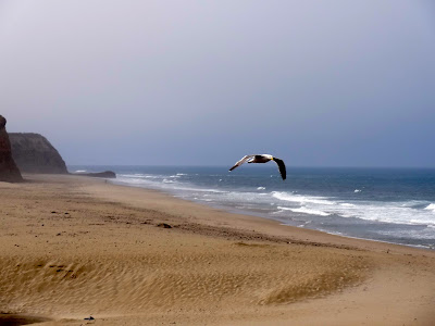 California Highway 1