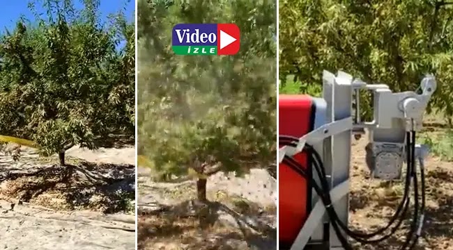 Badem Hasat Makinesi icat edildi
