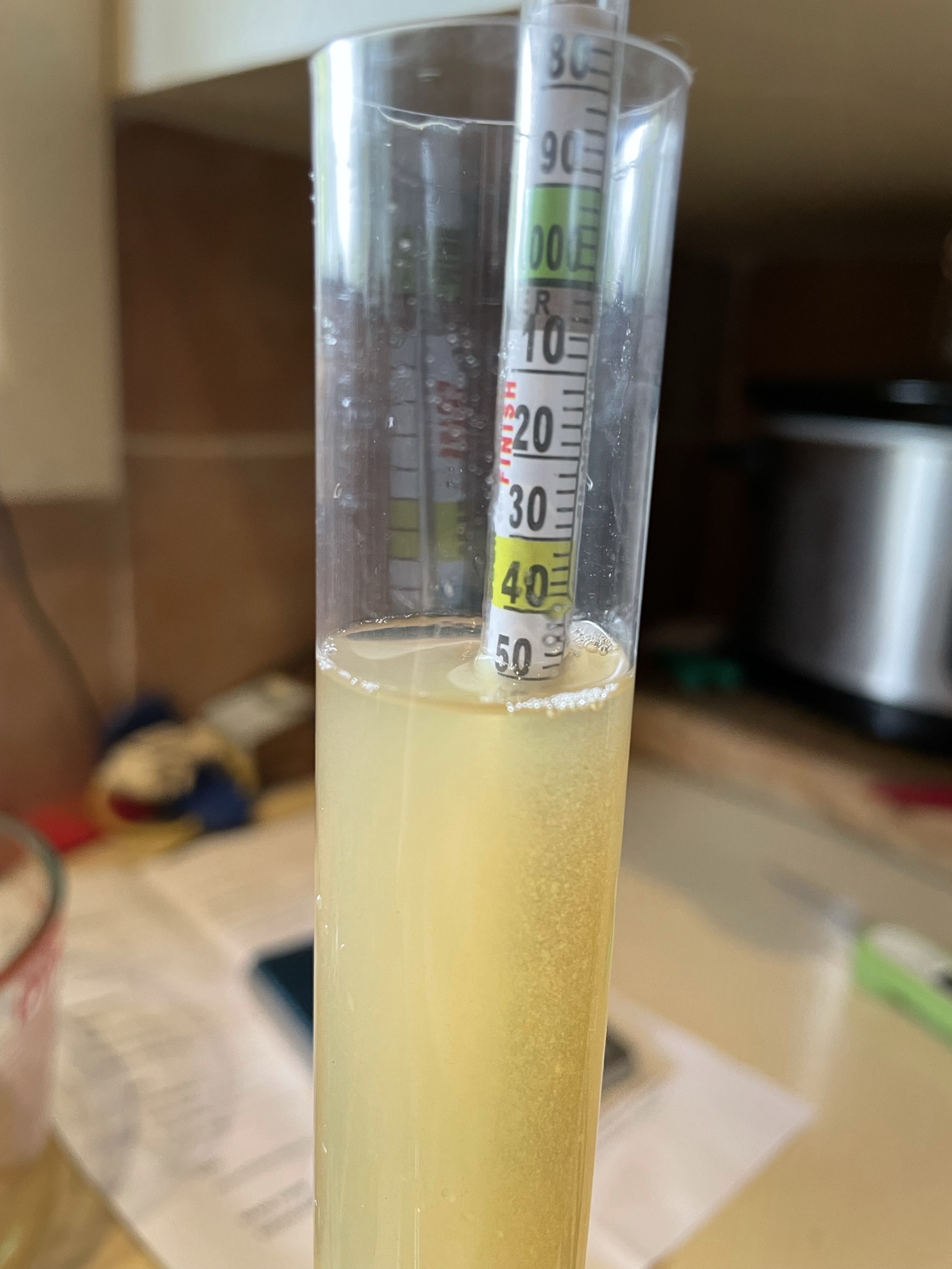 ExBEERiment Yeast Comparison Safale US05 American Ale, 49 OFF