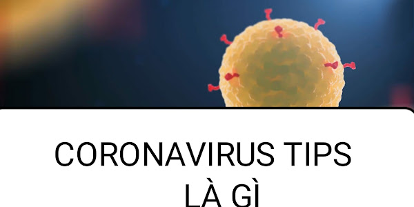 Coronavirus tips là gì?