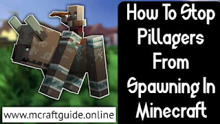 How To Stop Pillager From Spawning