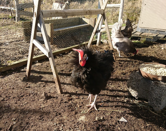 hyvä vapaa homo porno elokuvaa