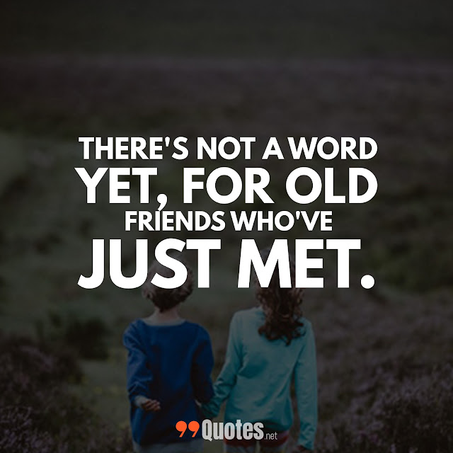 99 Cute Short Friendship Quotes You Will Love [with images]