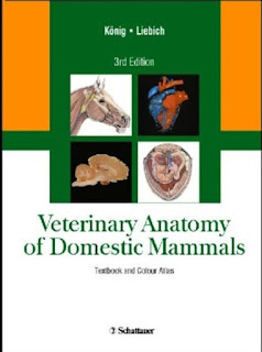 Veterinary Anatomy of Domestic Mammals – Textbook and Colour Atlas 3rd Edition Veterinary Anatomy of Domestic Mammals – Textbook and Colour Atlas 3rd Edition