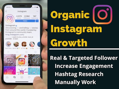Fast Organic Instagram Growth