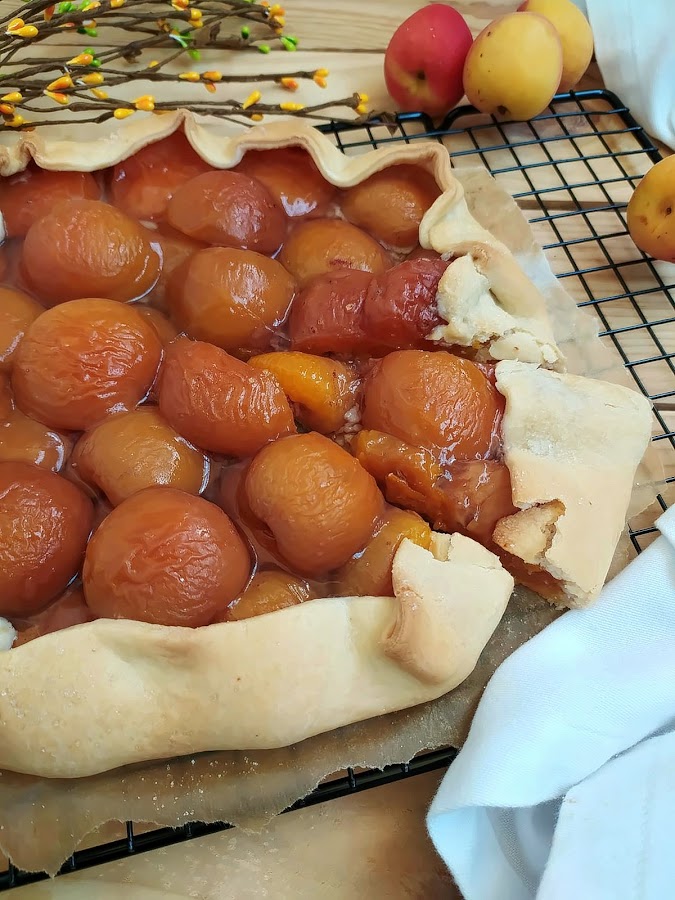 Galette de albaricoques. Postre de temporoda, fruta, rápido fácil, rico sencillo Horno Canela, avena Cuca