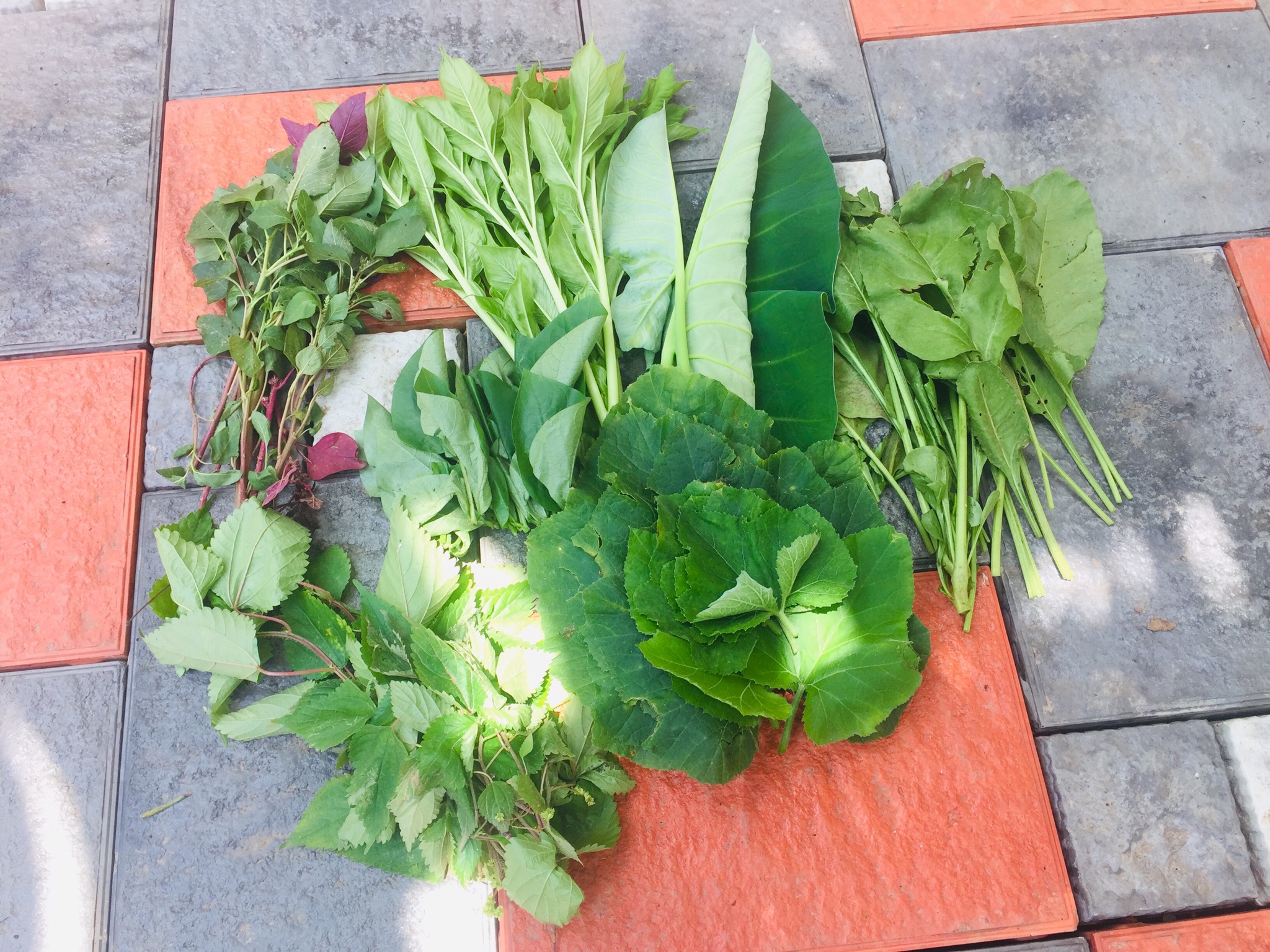 sumarajs healthy recipes Mixed leaves stir fry