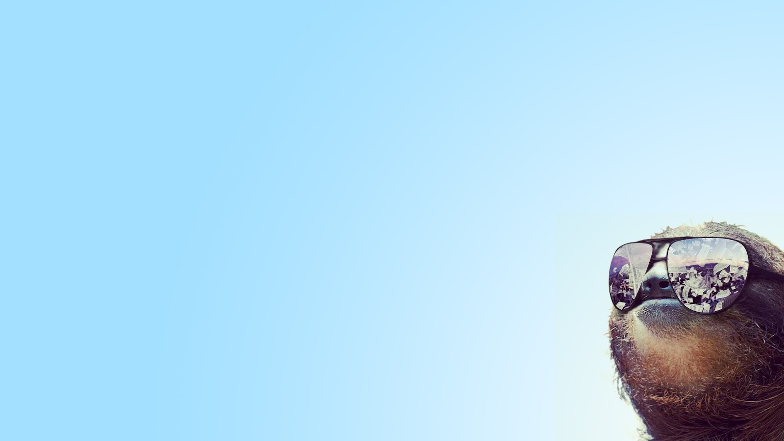 Sloth Wallpapers Sloth Wallpapers