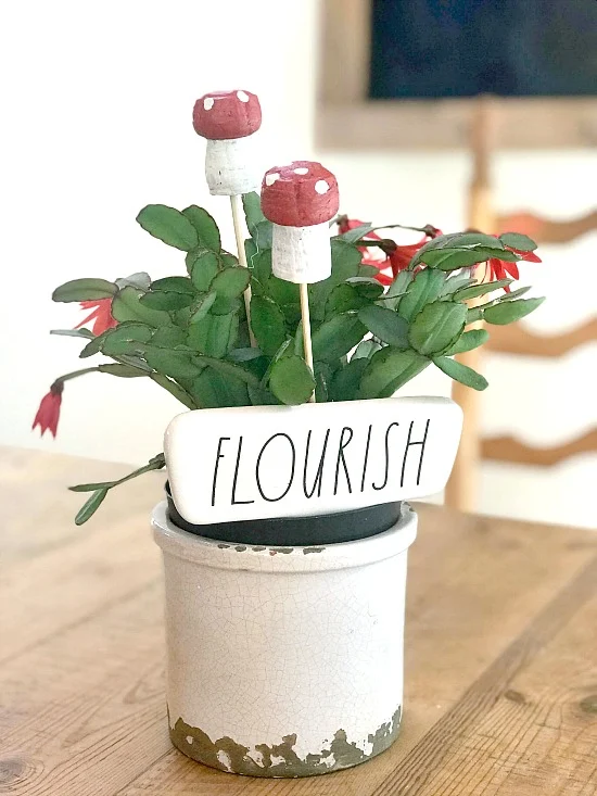 DIY red and white cork mushrooms for indoor planters