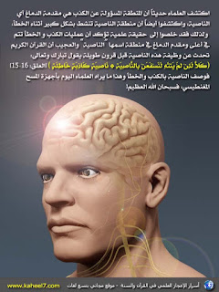 prefrontal