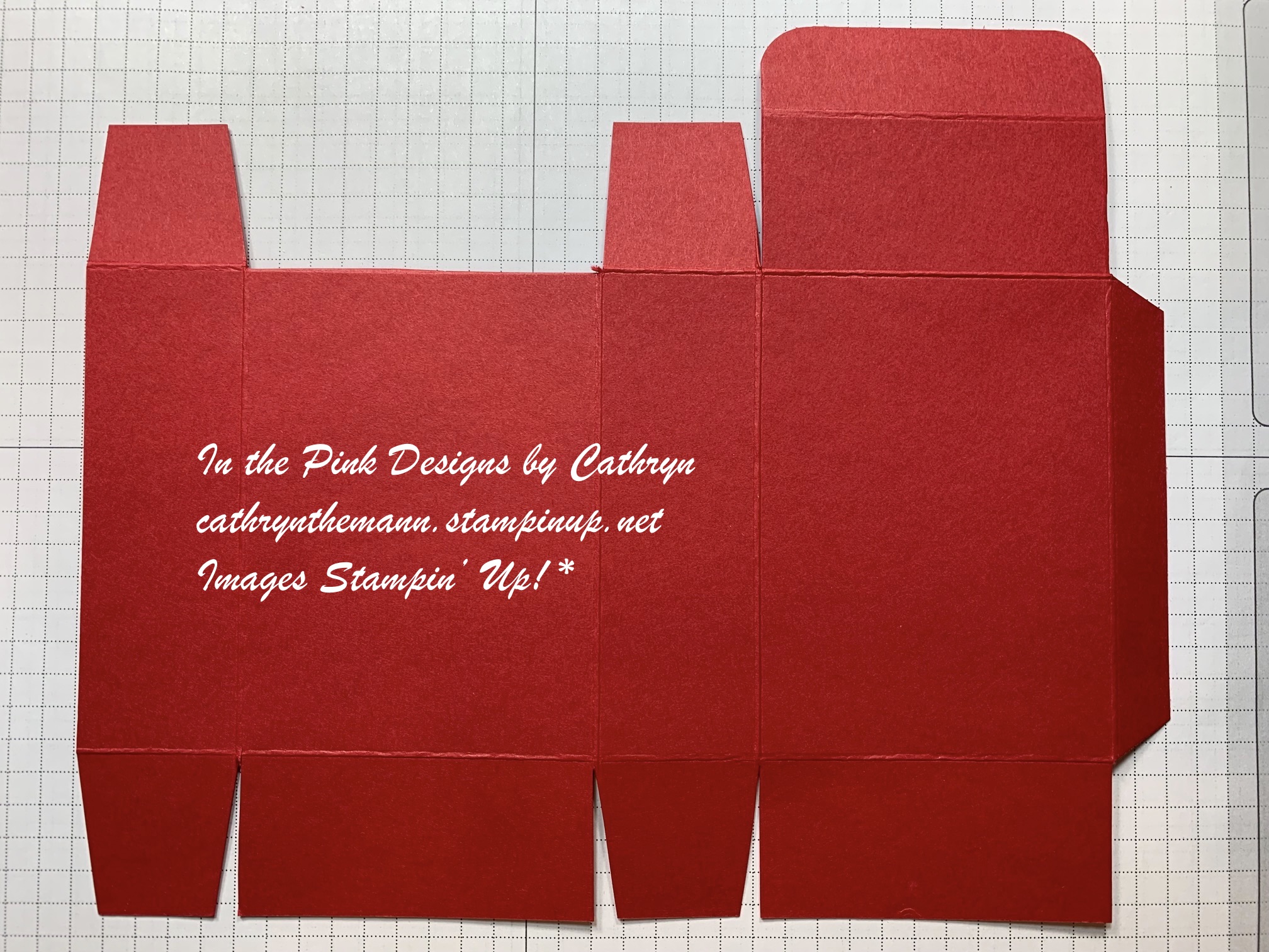 In the Pink, Designs by Cathryn LITTLE DEBBIE CHRISTMAS TREE CAKE BOX