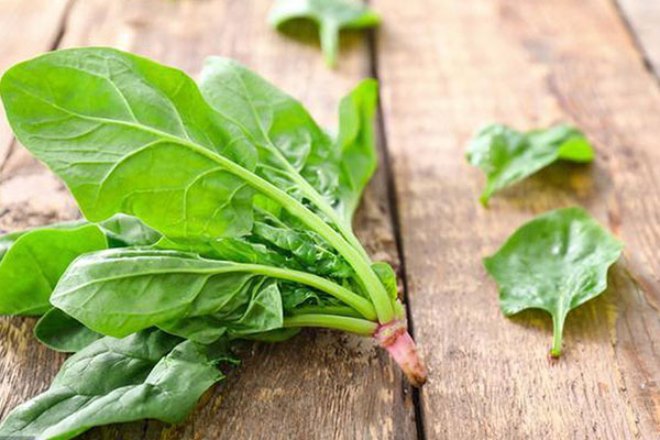 Rau Spinach Là Rau Gì? Ăn Rau Spinach Có Lợi Ích Gì? - Tin tức và kiến thức nhà hàng khách sạn