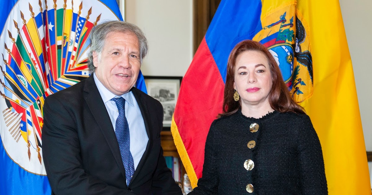 El blog de Edgar C. Otálvora Castrochavismo intenta desplazar a Almagro de la OEA