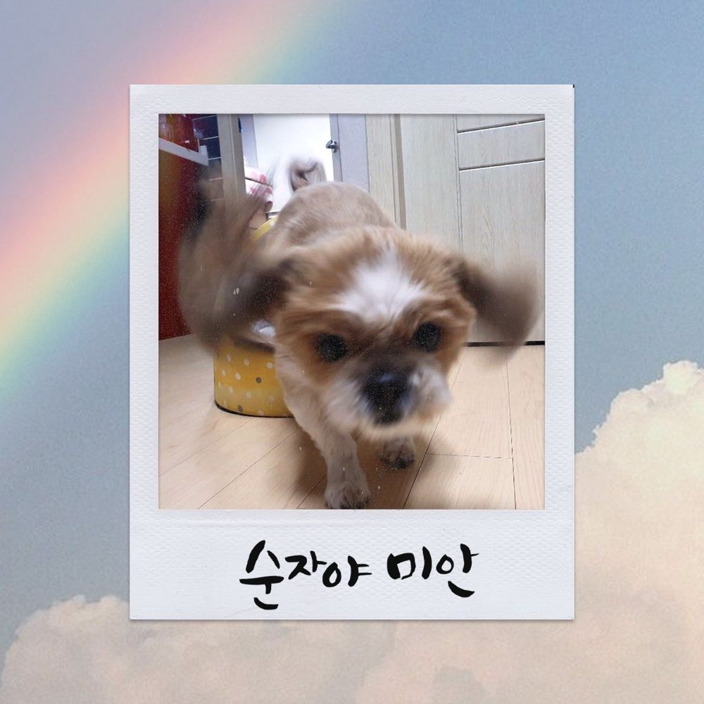 Rolling Paper – 순자야 미안 – EP