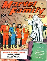 The Marvel Family