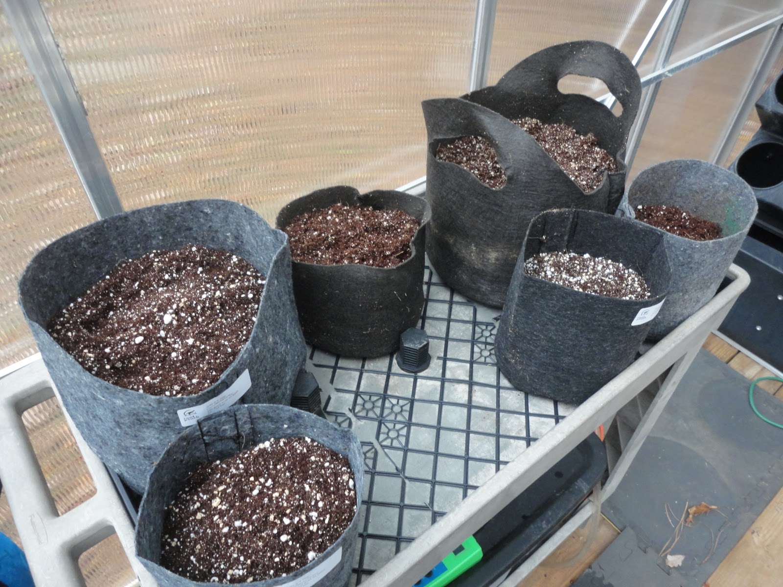 Alpha Hydroponics & Garden Supply, Inc. DIY Flood and Drain