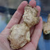 How To: Plant and Grow Ginger Root