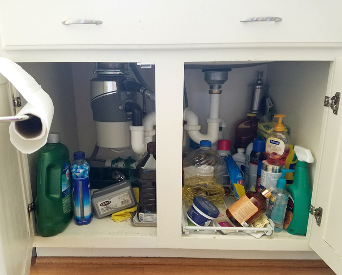 Managing the Mess Under the Sink - A Thoughtful Place