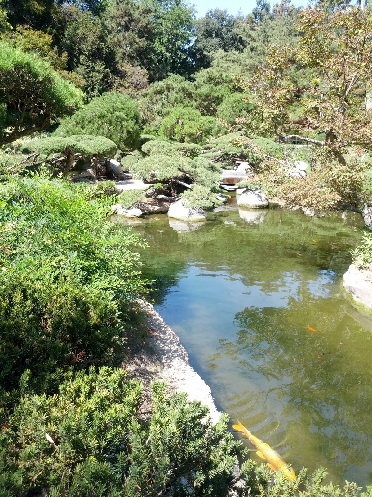 Rikachuuable Huntington Beach Botanical Gardens