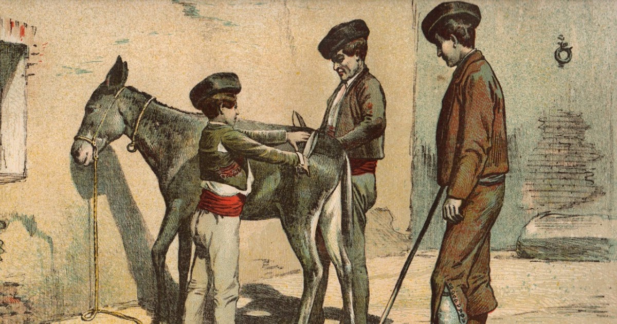 Historia de los gitanos españoles: La Real Provisión de 8 de octubre de