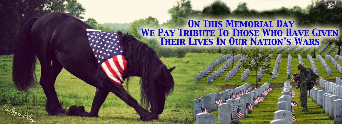 HORSES FOR HEROES New Mexico Cowboy Up! 5057982535 May 2014