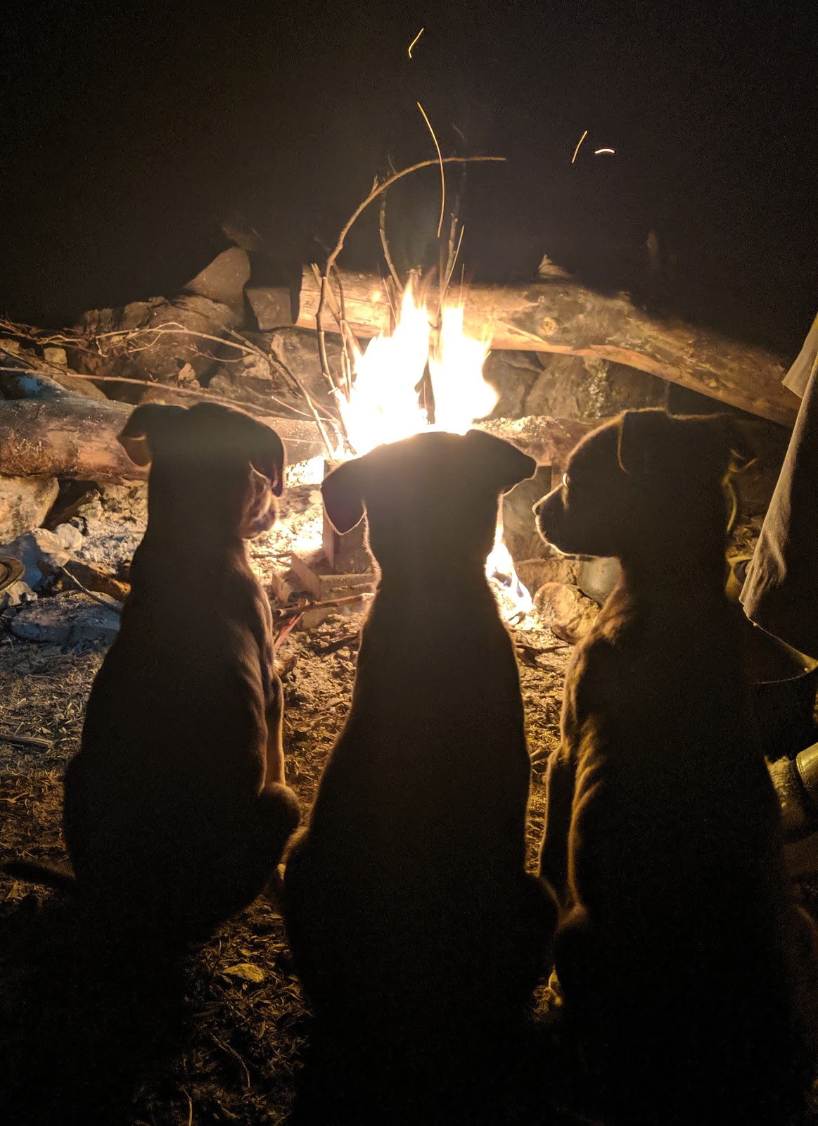 Fünf Tage, vier Grenzen, drei Hunde, zwei Chaoten und einmal im Kreis