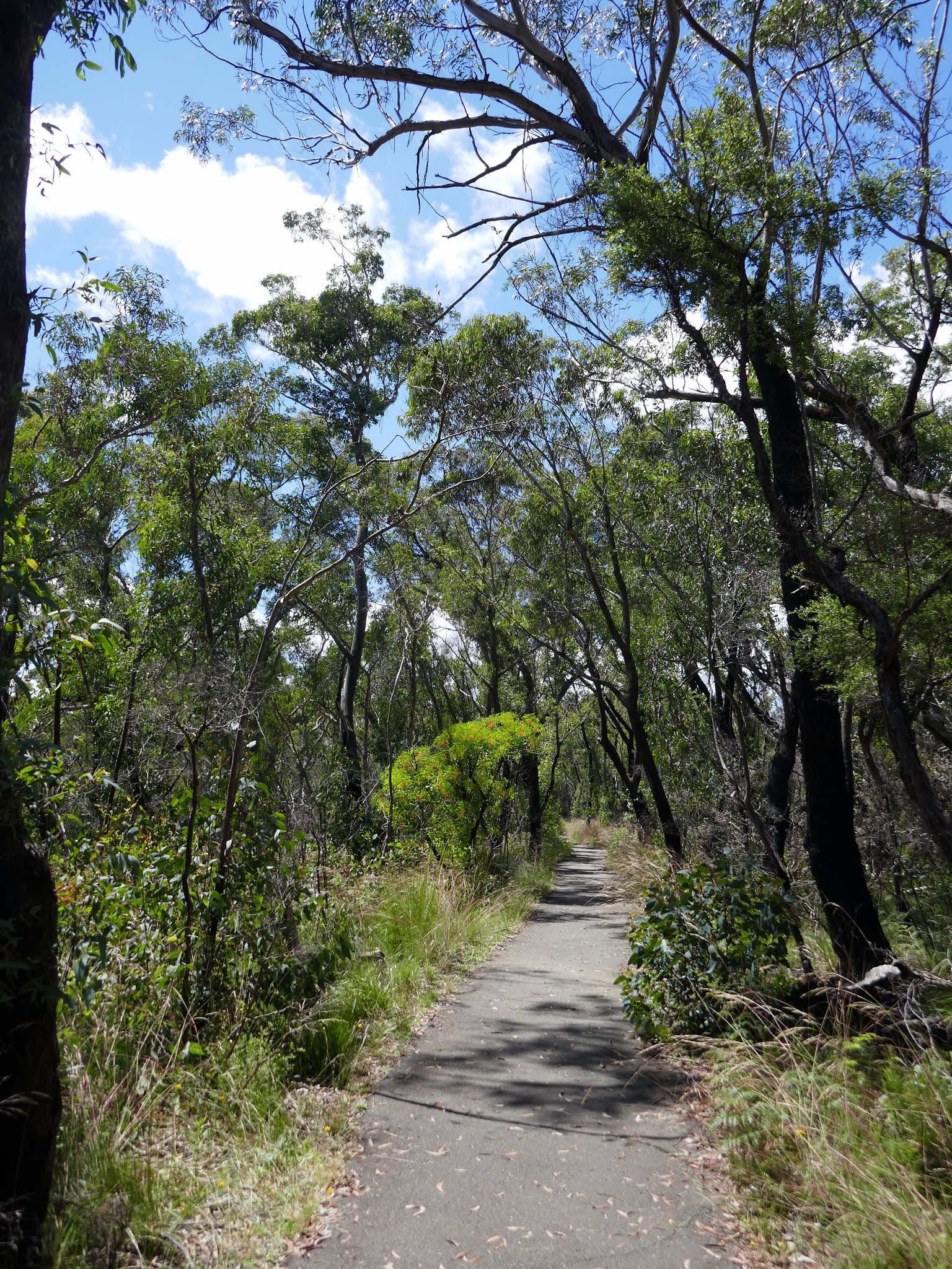 All The Gear But No Idea Govetts Leap, Cliff Top Track, Evans Lookout
