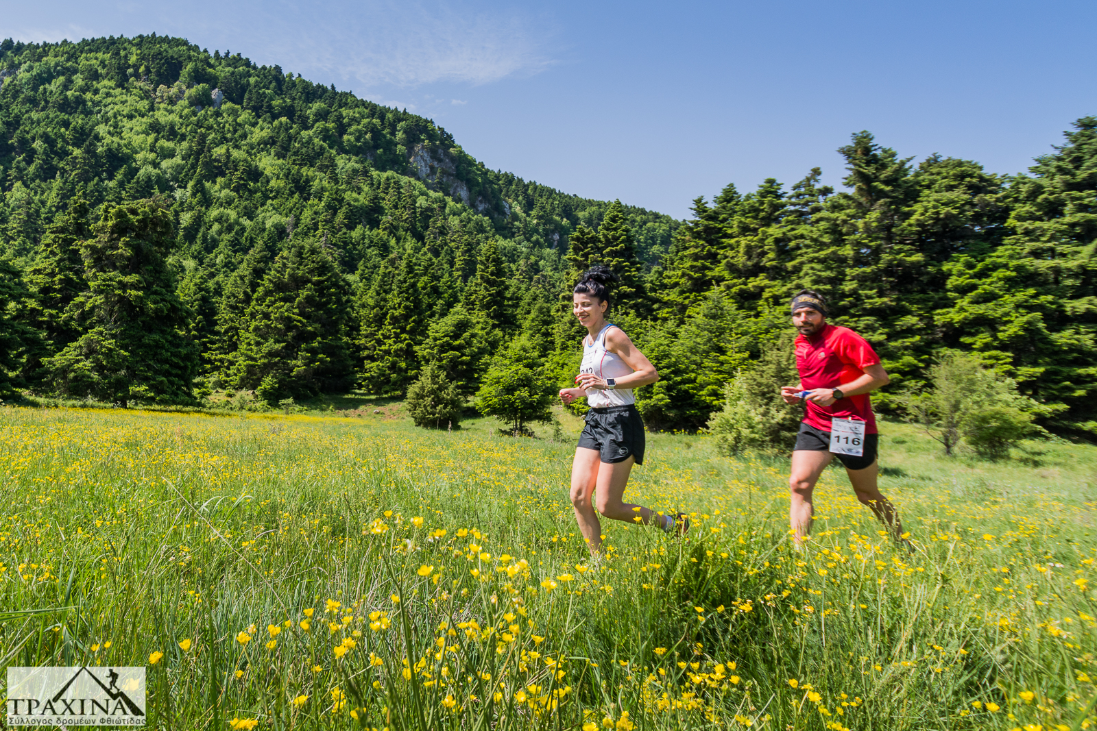 KAL 2750 | Lamianow.gr