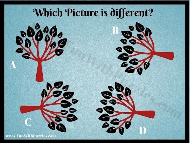 Hone Your Observation Skills: Fun Picture Puzzle-3