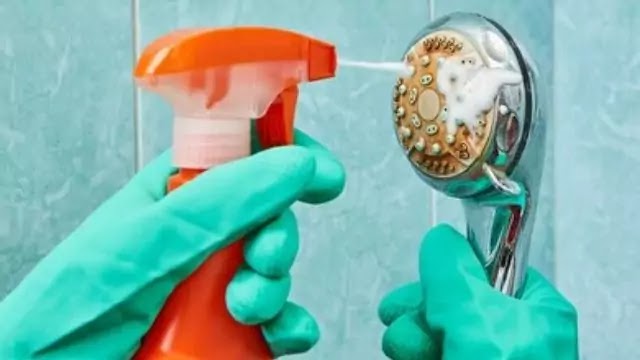 Clean Shower Head