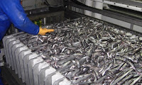 Fuente: http://www.sharkseafoods.com/en-capelin-catalog-view-30-17-0 Uso industrial de los capelines