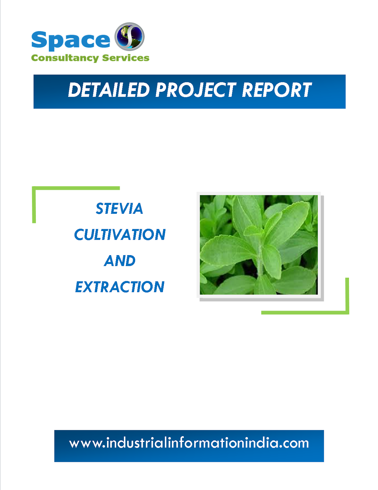 Stevia Cultivation And Extraction Project Report Space Consultancy Services