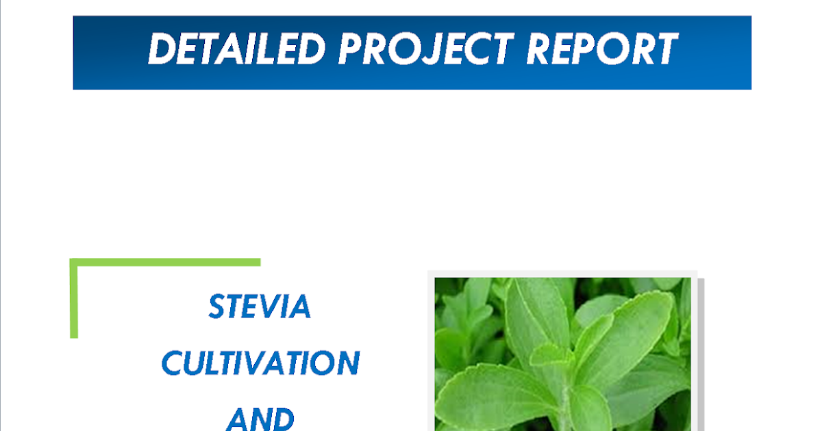 Stevia Cultivation And Extraction Project Report Space Consultancy