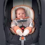 Infant cat seat with little boy