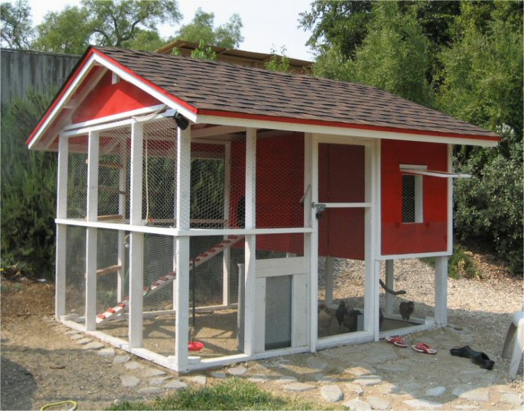 Building a Chicken Coop? Avoid These 7 Critical Errors