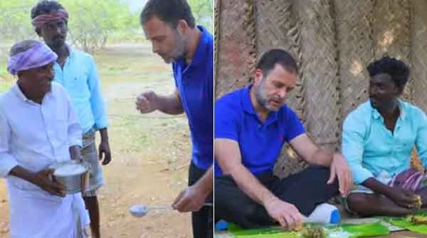 News, National, India, New Delhi, Congress, Rahul Gandhi, Video, Food, Rahul Gandhi enjoyed biriyani, village cooking channel viral video