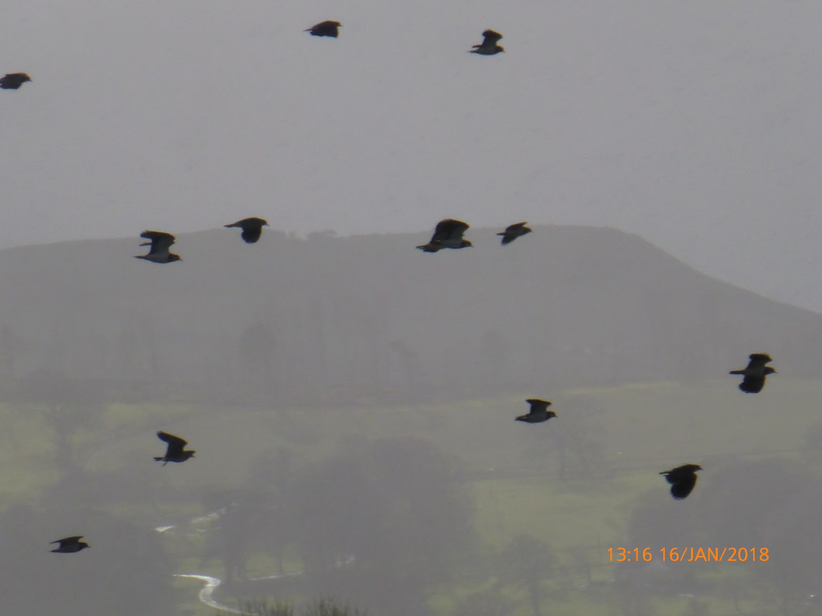 Harris Hikers Rhuddlan to Rhyl Along Both Sides of the Afon Clwyd 31st January 2018