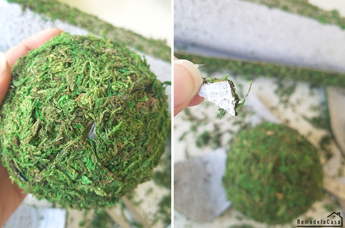 The EASIEST DIY Moss Balls · Nourish and Nestle