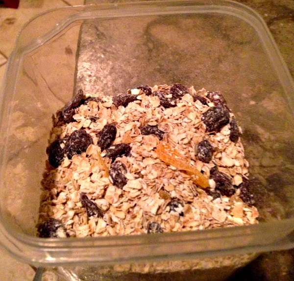 One Hot Stove DIY Instant Oatmeal My Toddler's Favorite Breakfast