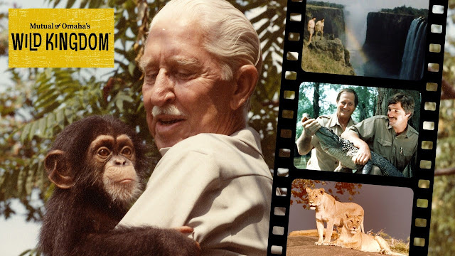 A Traveler's Guide To The Galaxy: Mutual of Omaha’s Wild Kingdom