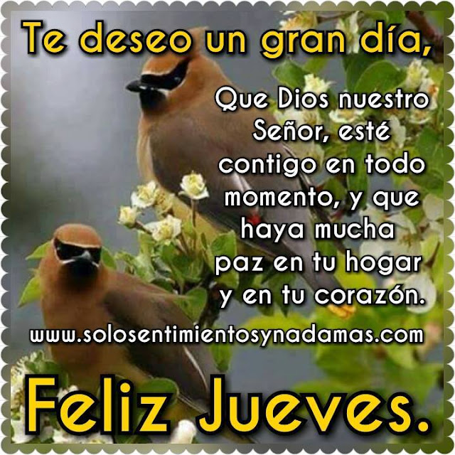 Feliz jueves.