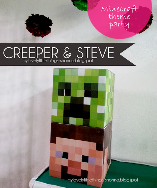 Photo shoot minecraft, theme birthday party
