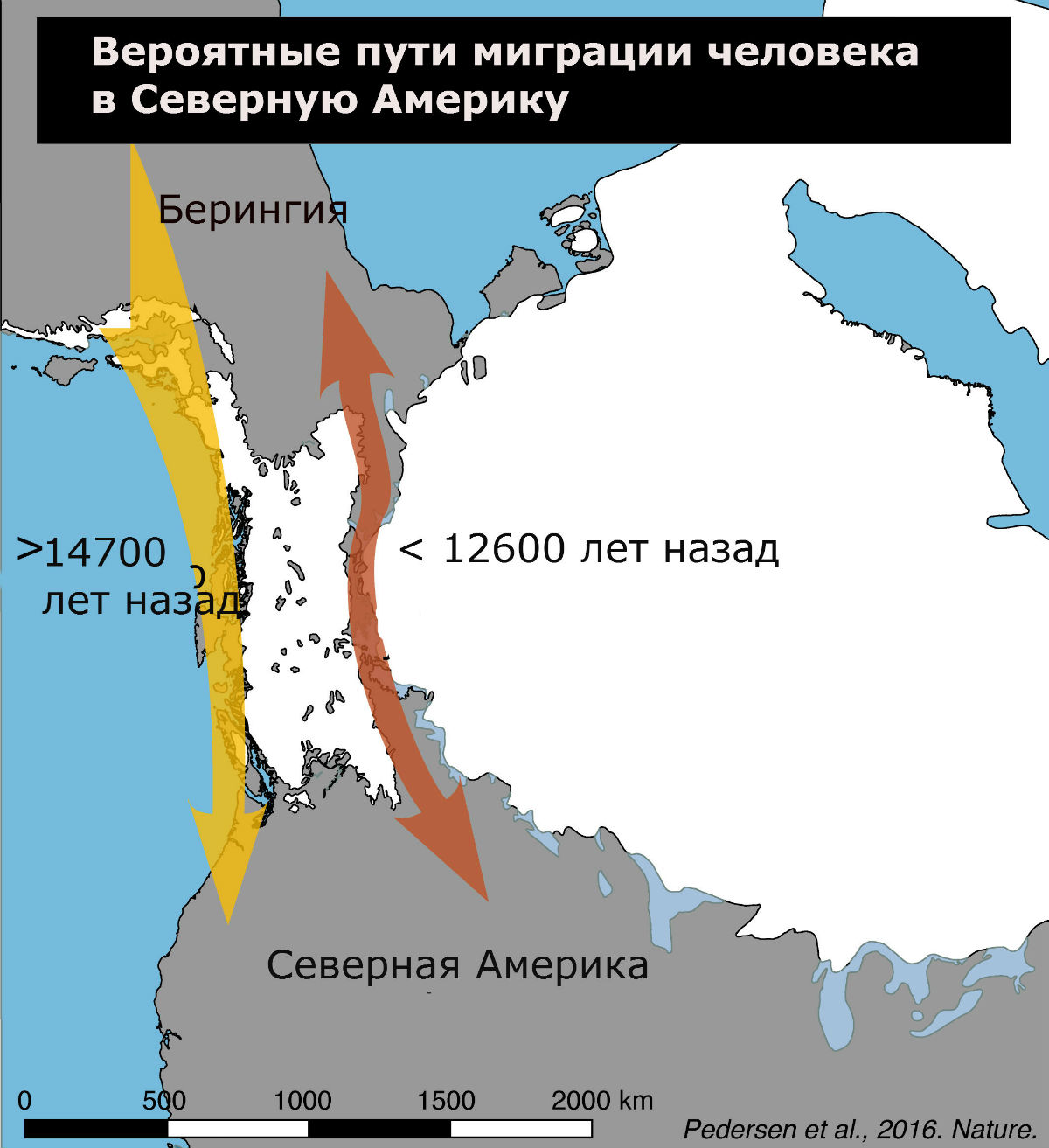 расселение людей из африки. заселение америки человеком. миграции из азии в америку. пути заселения америки. карта миграции древних людей в америку.