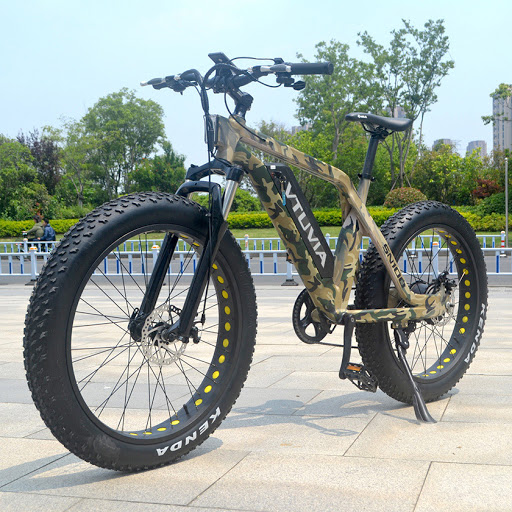 vtuvia electric bike