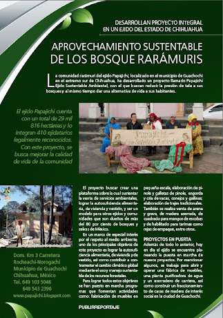 Articulo Revista Verde del Periodico REFORMA