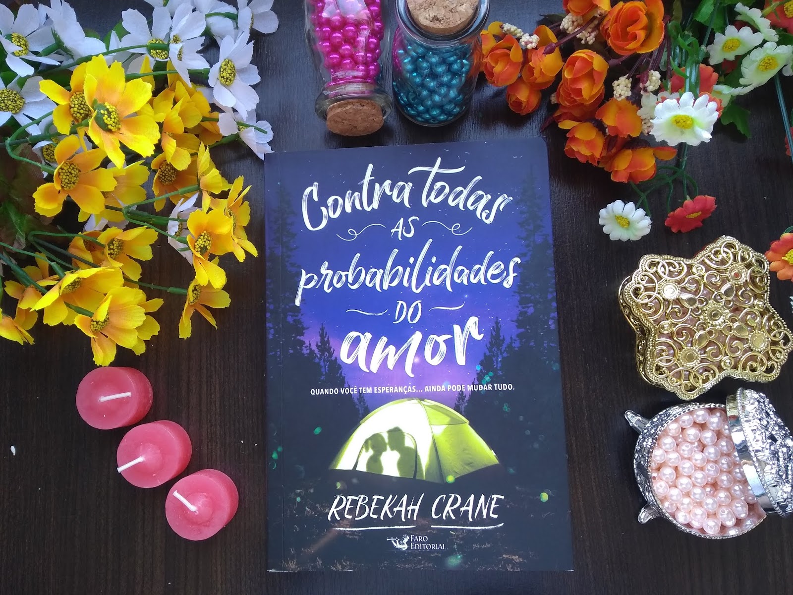 { #RESENHA } CONTRA TODAS AS PROBABILIDADES DO AMOR - REBEKAN CRANE CONTRA TODAS AS PROBABILIDADES DO AMOR - REBEKAN CRANE