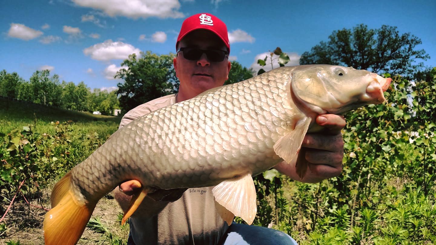 Michigan Carp Fishing Blog Lamine River