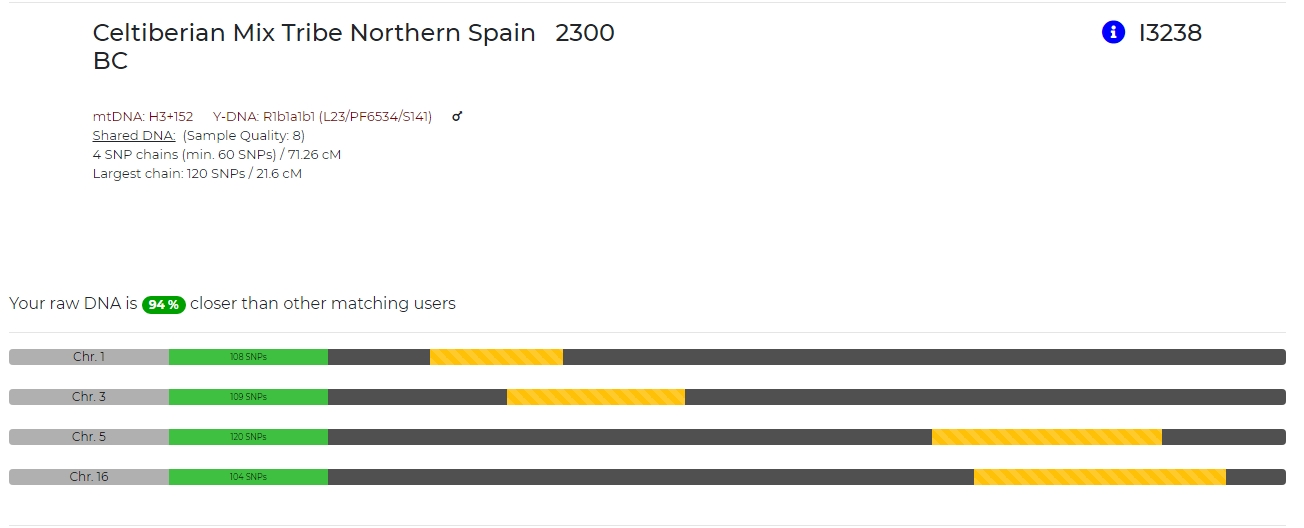 TartessianI12171DeepDiveceltiberianNorthspain2300bc.jpeg